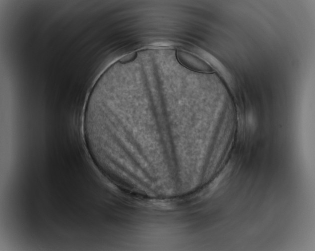 X0000092051194200710031037