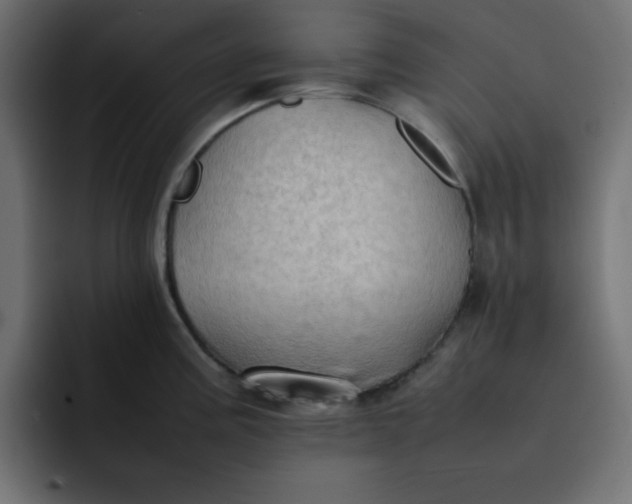 X0000092051195200710031037