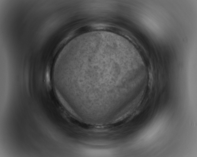 X0000092051198200710031037