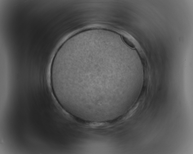 X0000092051199200710031037