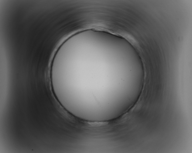 X0000092051200200710031037