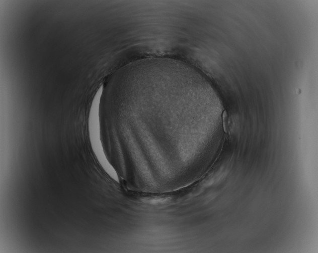 X0000092051202200710031036