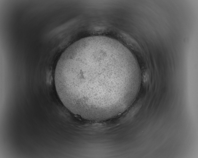 X0000092051204200710031036