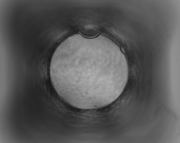 X0000092051205200710031036