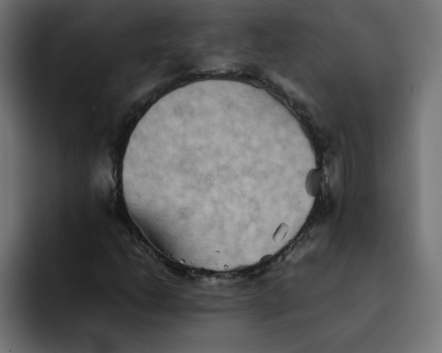 X0000092051206200710031036