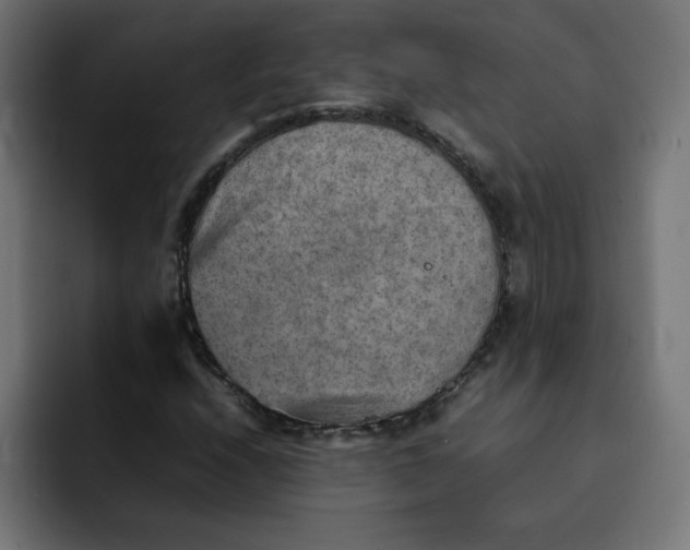 X0000092051208200710031036