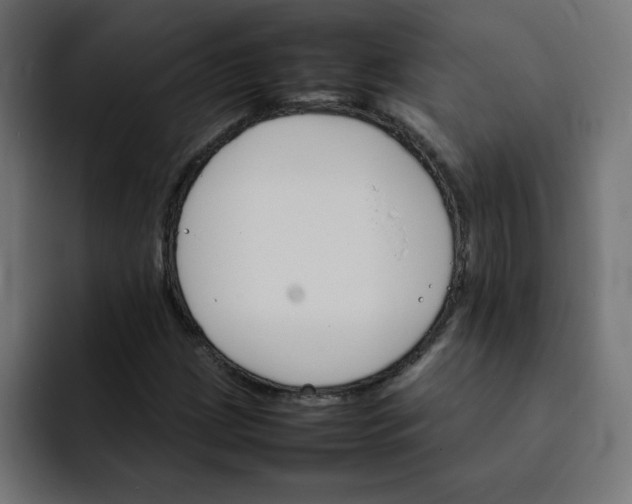 X0000092051209200710031036