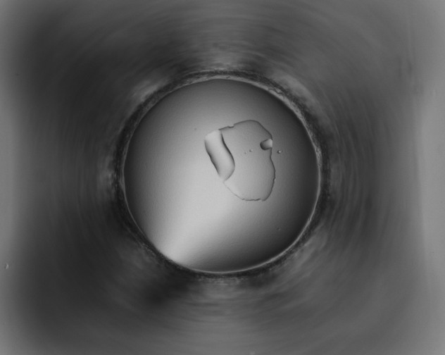 X0000092051210200710031036