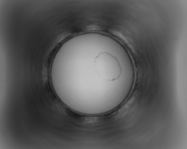 X0000092051211200710031036