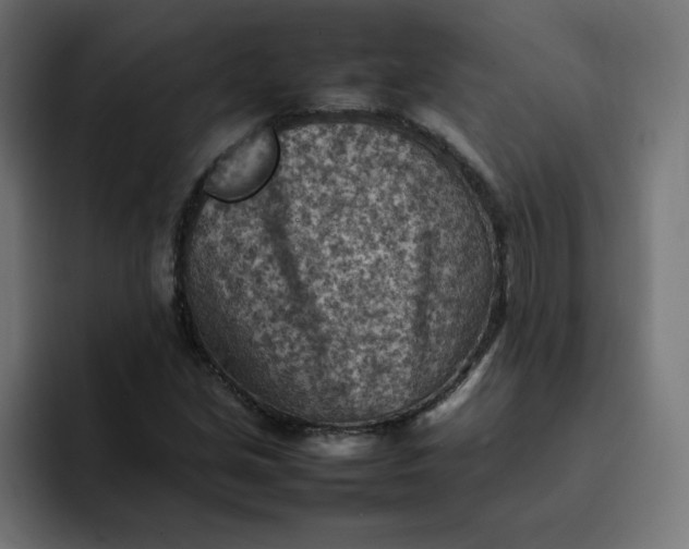 X0000092051213200710031036