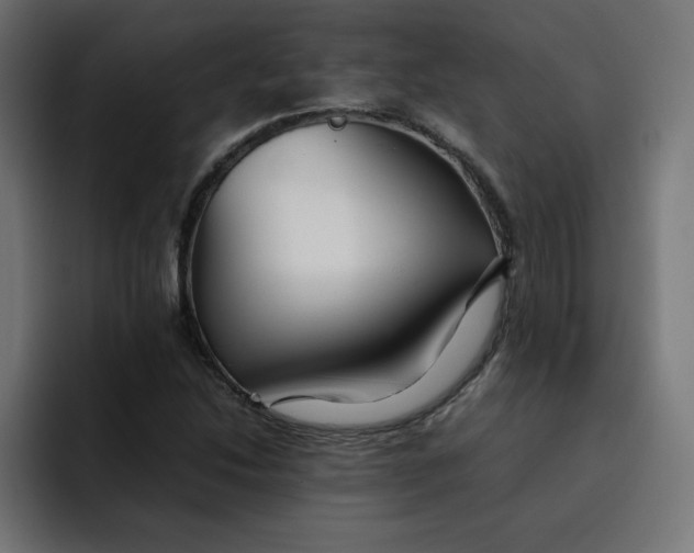 X0000092051214200710031036