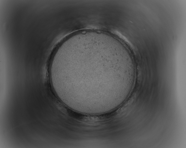 X0000092051215200710031036