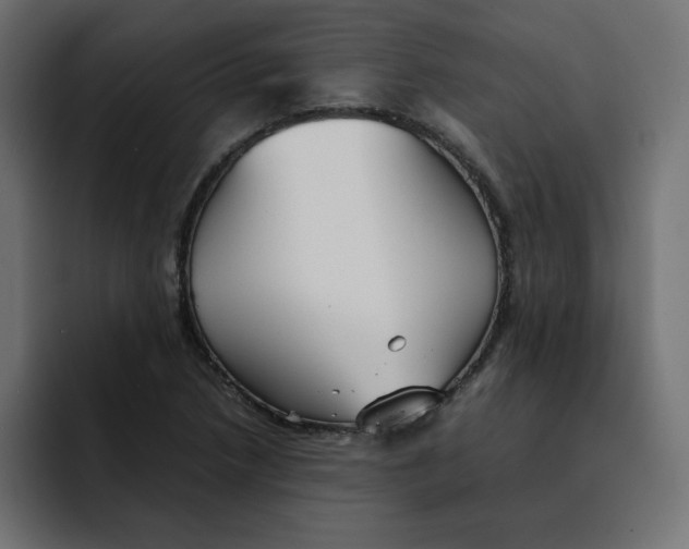 X0000092051218200710031036