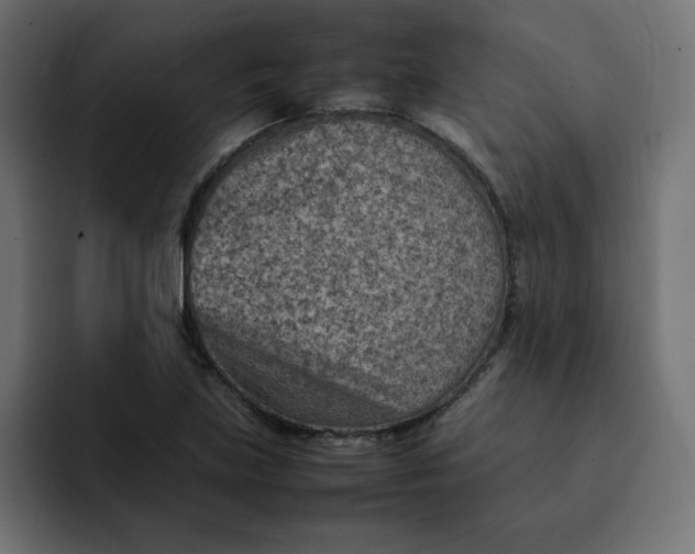 X0000092051219200710031036