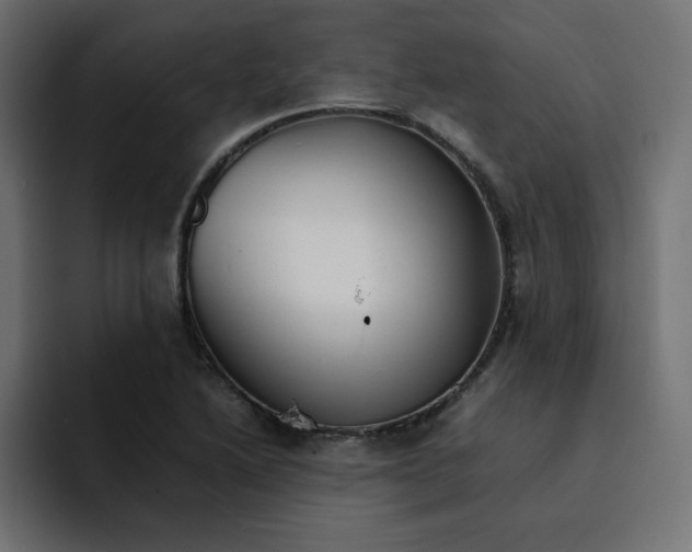 X0000092051222200710031036