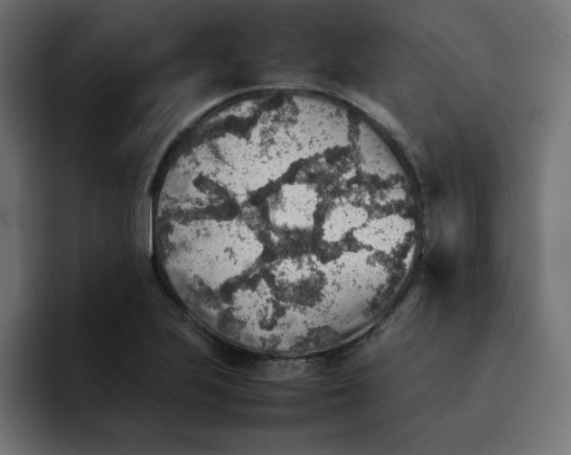 X0000092051223200710031036