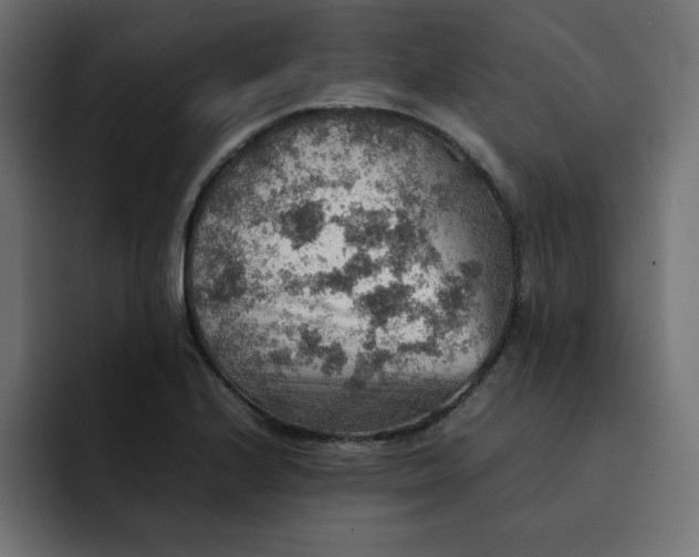 X0000092051224200710031036