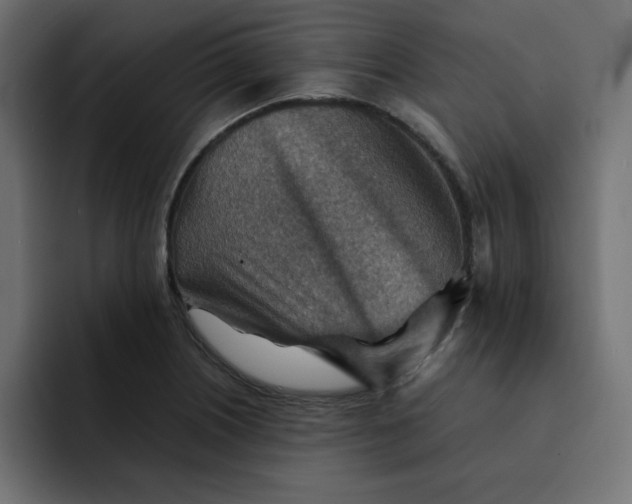 X0000092051226200710031036