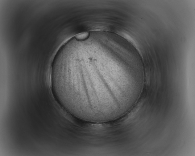 X0000092051227200710031036