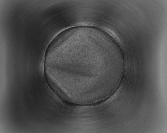 X0000092051228200710031036