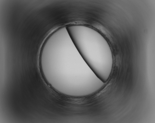 X0000092051229200710031036