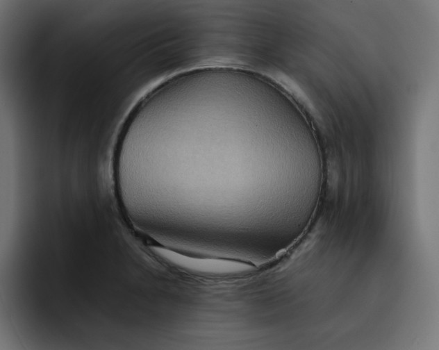 X0000092051230200710031037