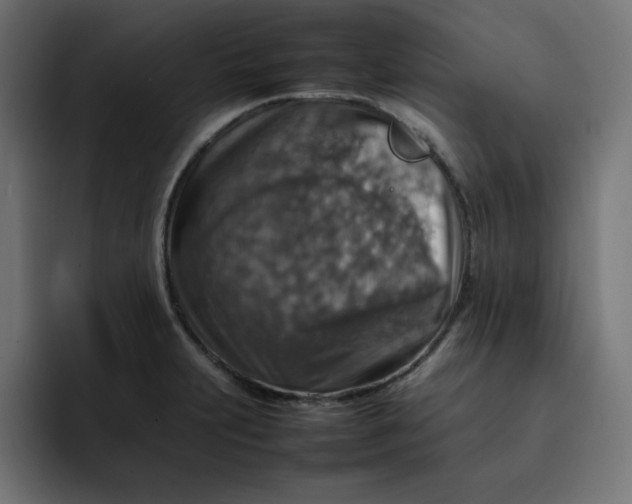 X0000092051231200710031037