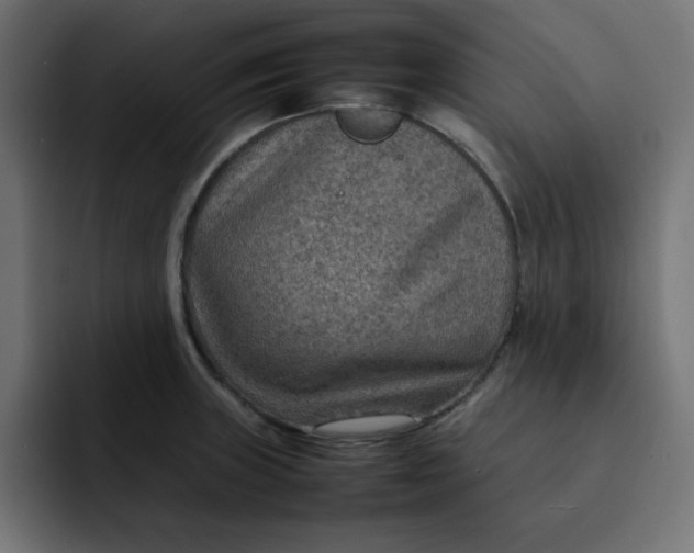 X0000092051235200710031037