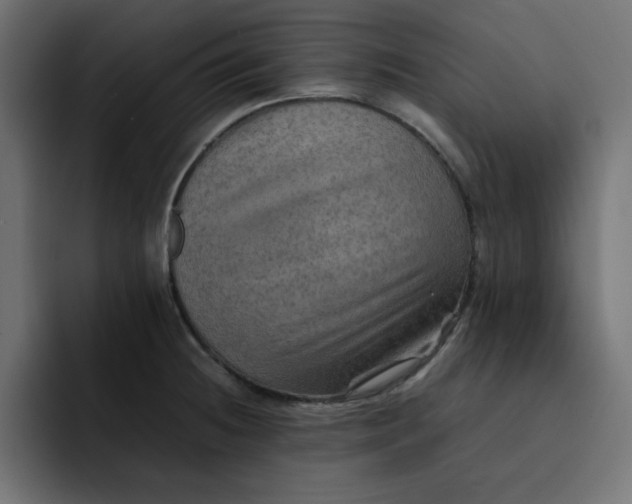 X0000092051236200710031037