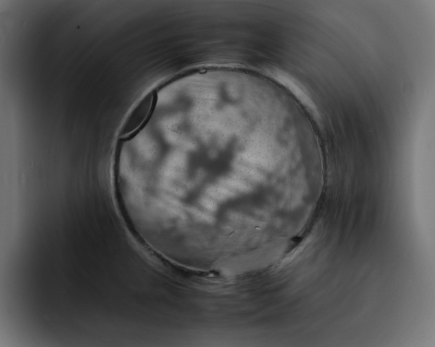 X0000092051237200710031037