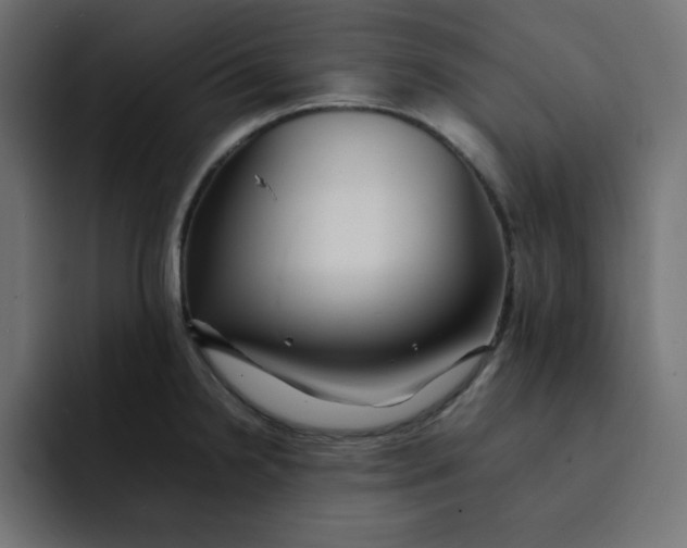 X0000092051238200710031037