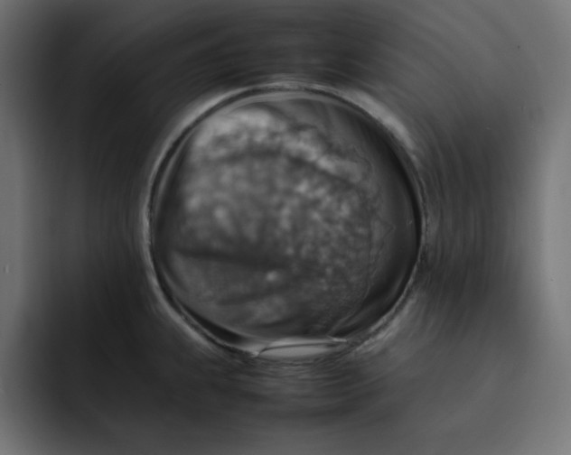 X0000092051239200710031037