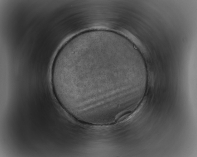 X0000092051240200710031037