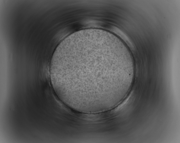 X0000092051241200710031037