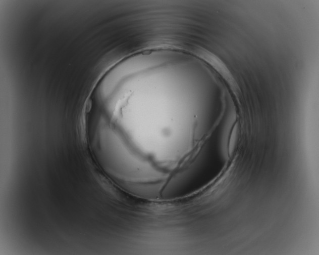 X0000092051242200710031037