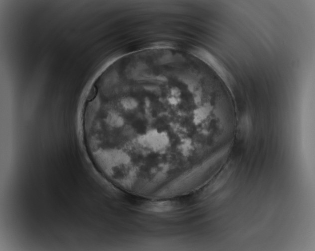 X0000092051243200710031037