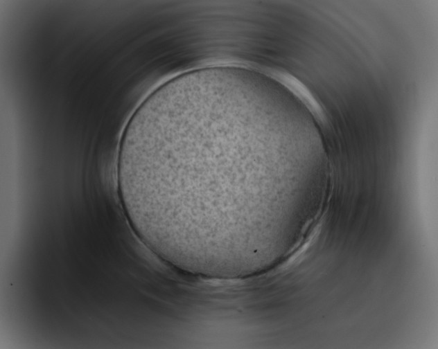 X0000092051244200710031037