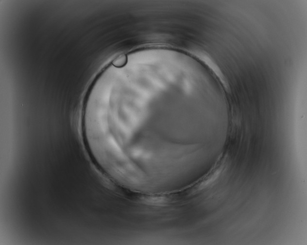 X0000092051245200710031037