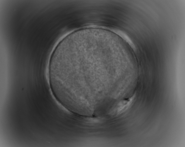 X0000092051247200710031037