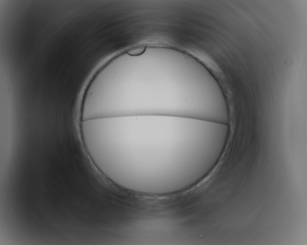 X0000092051248200710031037