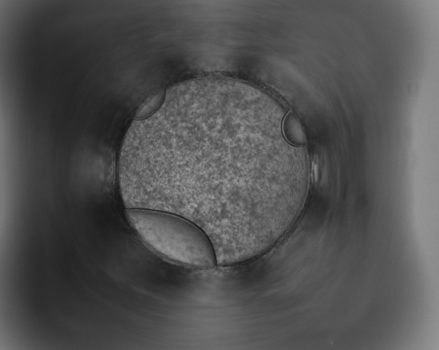 X0000092051251200710031036