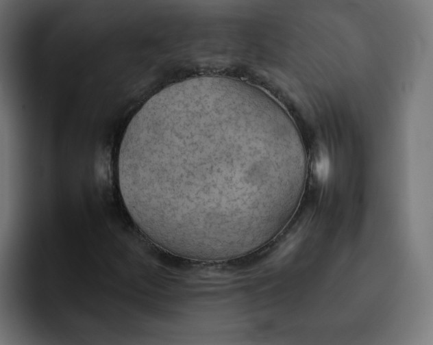 X0000092051252200710031036