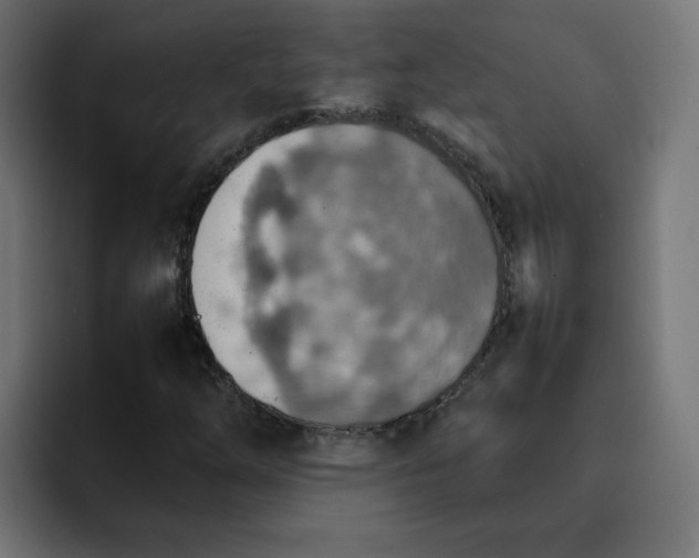 X0000092051254200710031036