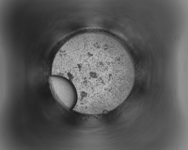 X0000092051255200710031036