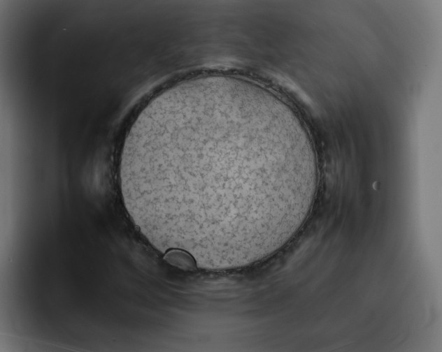 X0000092051256200710031036