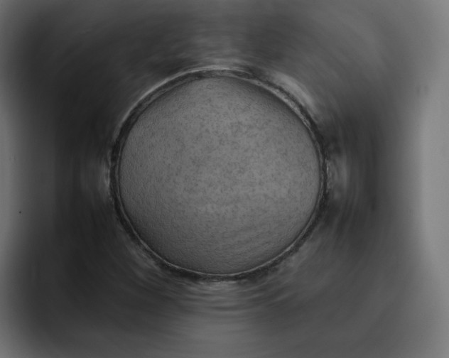 X0000092051260200710031036