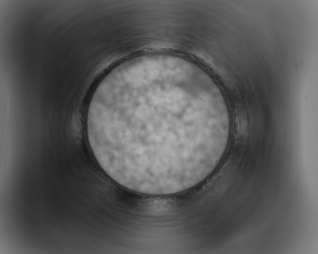 X0000092051266200710031036