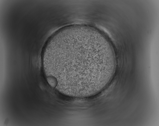 X0000092051267200710031036