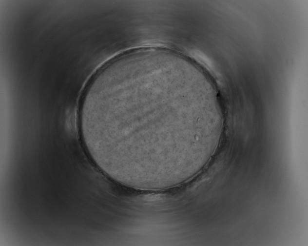 X0000092051268200710031036