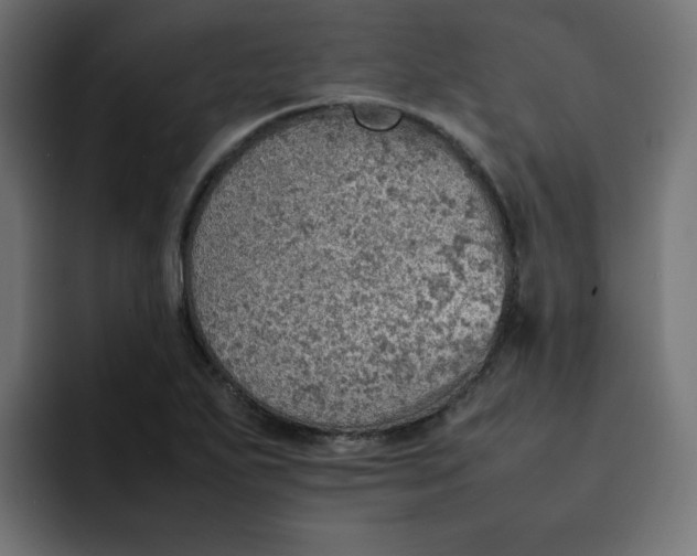 X0000092051271200710031036